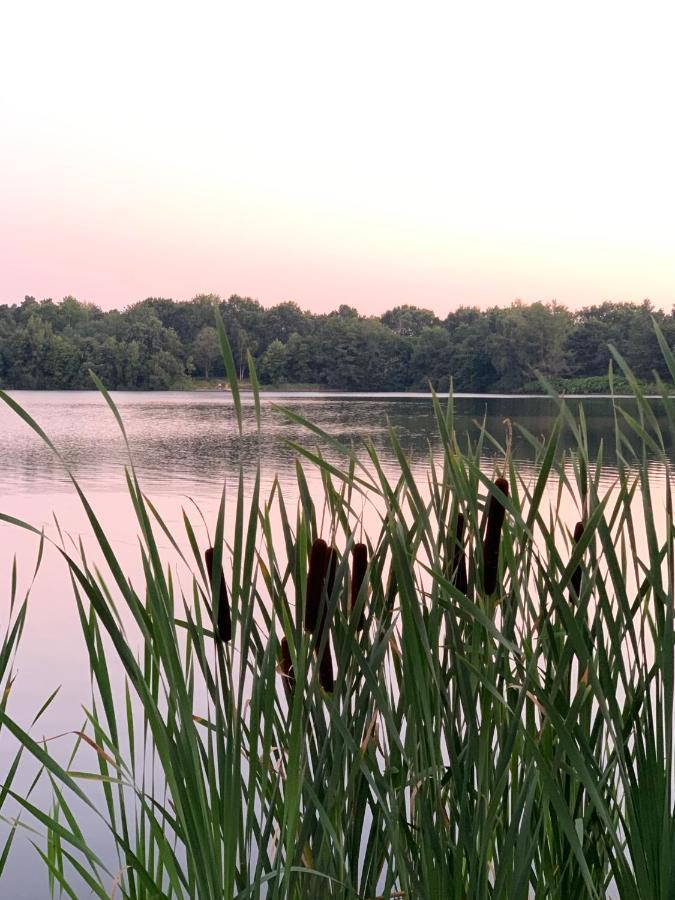 Ferienhaus Seeblick Am Harkebruegger See Mit Sauna Und Kamin Barssel  Екстериор снимка