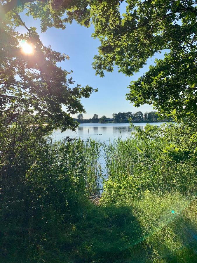 Ferienhaus Seeblick Am Harkebruegger See Mit Sauna Und Kamin Barssel  Екстериор снимка